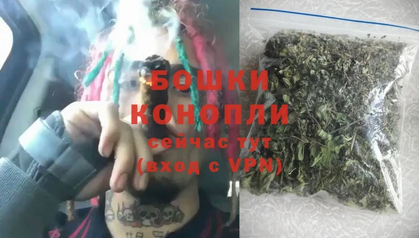 дживик Бронницы
