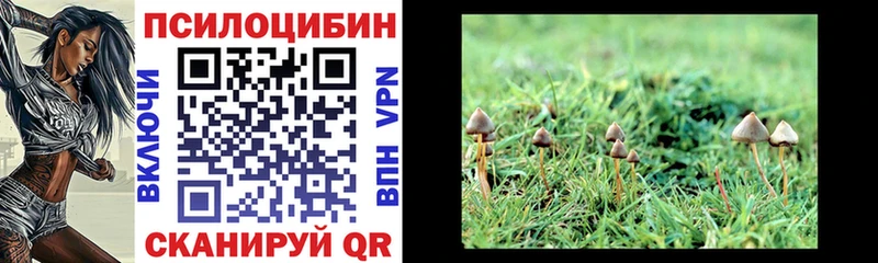 как найти   Михайлов  Галлюциногенные грибы Magic Shrooms 
